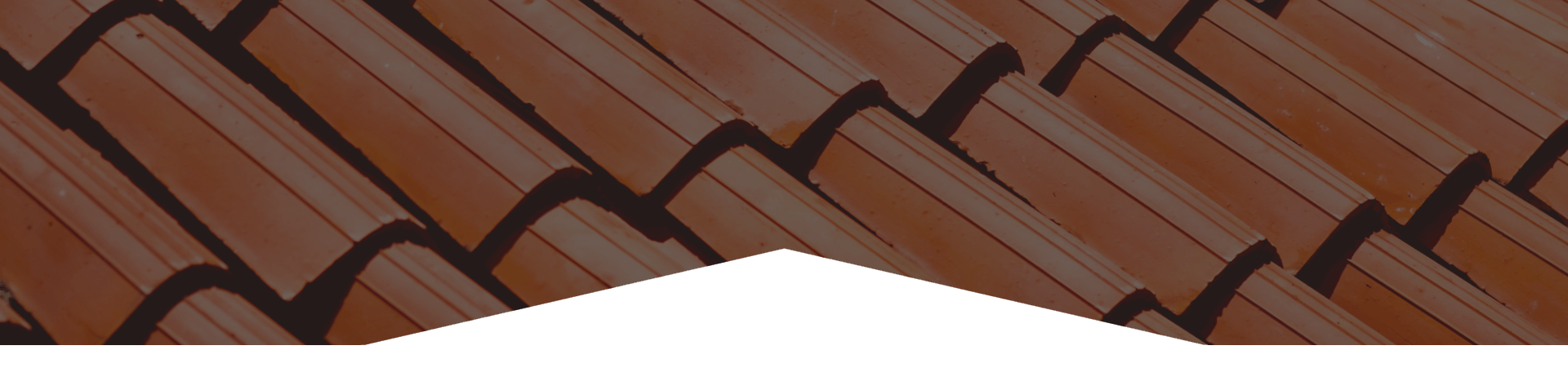 RoofXpress: Roof Restoration Reviews